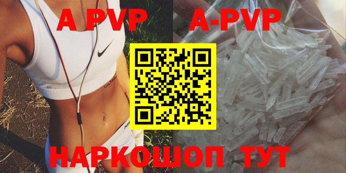 APVP СК Великий Новгород