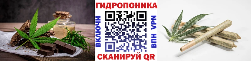 Cannafood конопля  купить наркотики цена  Великий Новгород 
