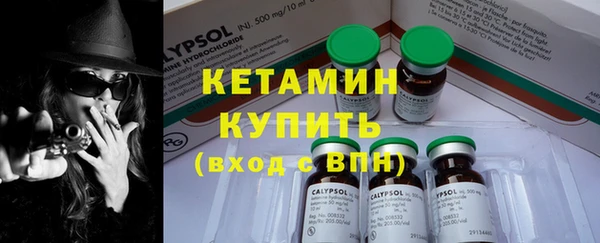 шишки Пестово