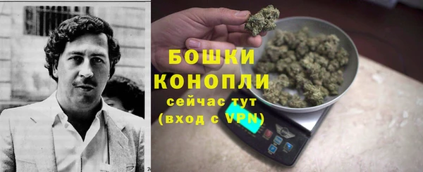сатива Переславль-Залесский