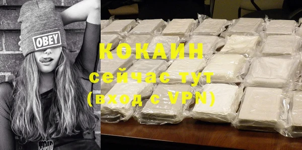 шишки Пестово