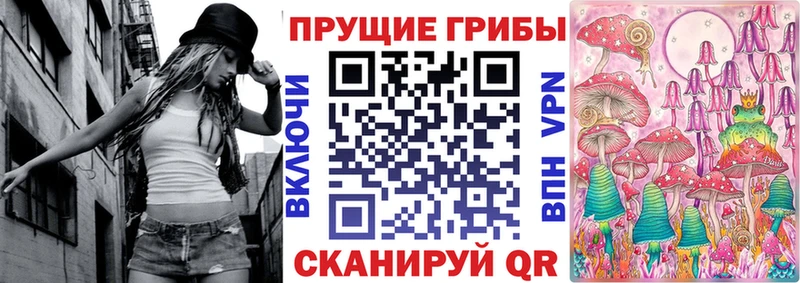 купить закладку  даркнет наркотические препараты  Галлюциногенные грибы Cubensis  Великий Новгород 